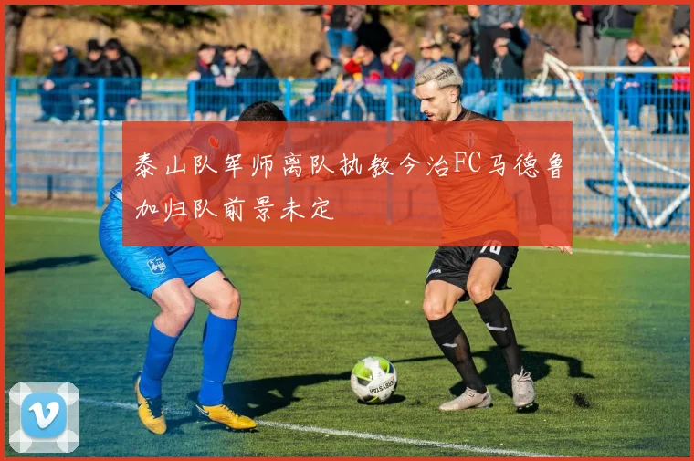 泰山队军师离队执教今治FC马德鲁加归队前景未定